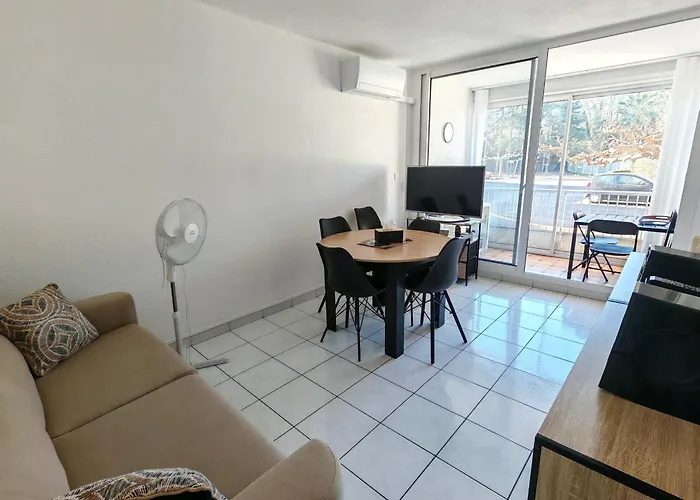 Renove Avec Climatisation A 300m De La - Argeles-sur-mer - Fr-1-732-112 דירה *