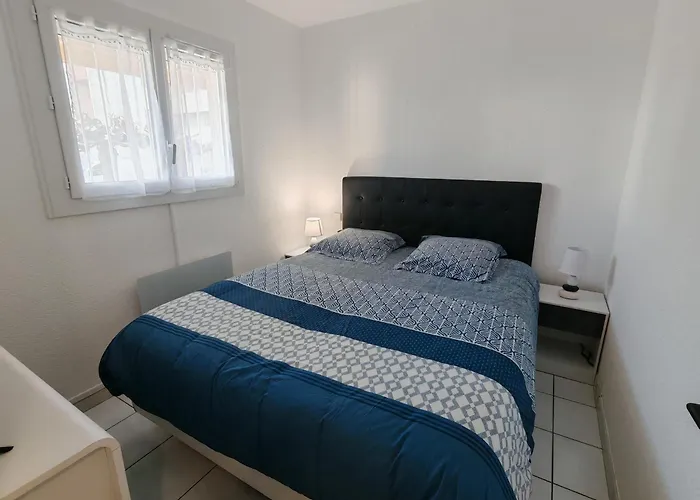 Renove Avec Climatisation A 300m De La - Argeles-sur-mer - Fr-1-732-112 דירה *